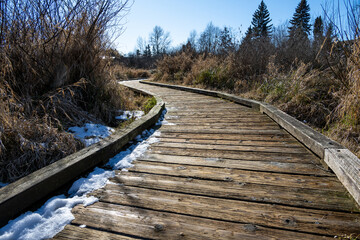 Obraz premium Sunny cold winter day exercise and recreation in public park, wood boardwalk through wetland grasses and trees with remaining snow in shady areas 