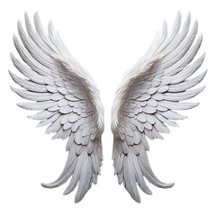 Fototapeta premium angel wings isolated