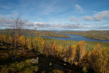 Beautiful landscape in the forest , trees and branches , sunlights and grass with beautiful clouds , mountains and water 