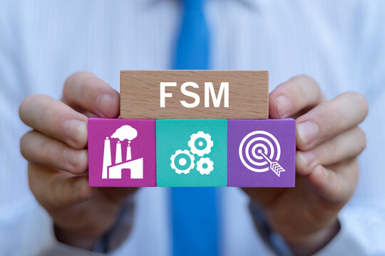 Business person holding colorful blocks sees abbreviation: FSM. FSM Field Service Management Software Business Concept.