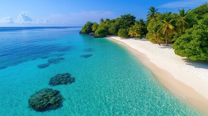 Fototapeta premium Tropical island beach aerial view, turquoise water, coral reefs, lush vegetation