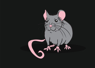 Smiling gray lab rat standing on a surface