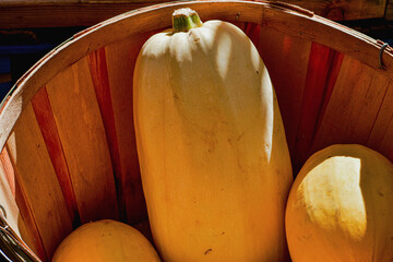 spaghetti squash on wooden table