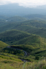 Fototapeta premium A winding road meanders through lush green hills, creating a stunning landscape view bathed in soft sunlight.