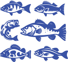 Six different types of fish.