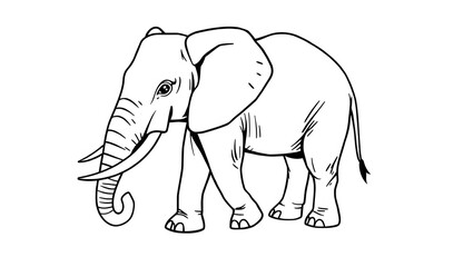 Fototapeta premium black and white elephant pictures for coloring