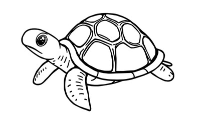 black and white turtle pictures for coloring