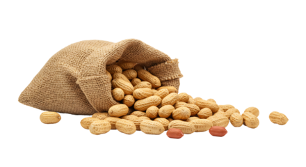 Peanuts in Burlap Bag Isolated White Background High-Resolution