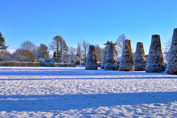 Winter The City Park Snow