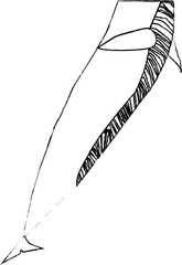 シロナガスクジラ顔無し色無し鉛筆風