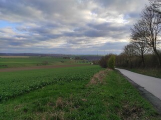 Obraz premium Landscape with field and road