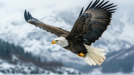 Wildlife photography, close-up of an eagle soaring, dramatic mountain backdrop