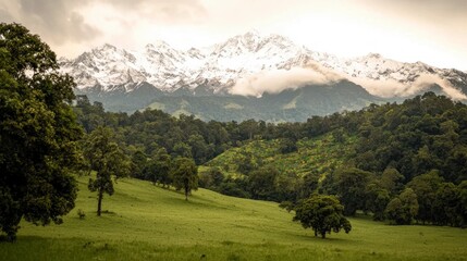 Majestic Snow Capped Mountains   Lush Green Valley Landscape