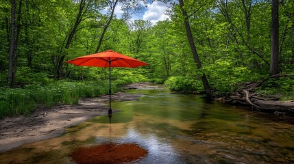 Orange umbrella by stream, forest