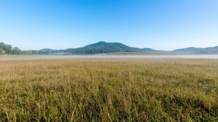 Obraz premium Misty Morning Field and Mountains