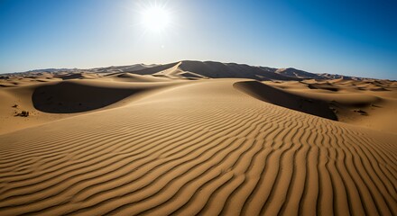 Naklejka premium Sand Dune Waves in Desert Landscape Under Sunny Blue Sky