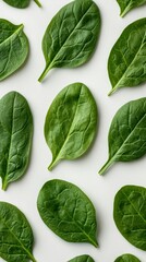 Obraz premium Green Spinach Leaves Pattern on Gray Background