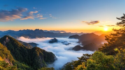 Obraz premium Breathtaking sunrise casts golden light on a mountain range, revealing peaks above a sea of clouds and creating a serene landscape