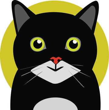 cute cat face vector illustration. cute  cartoon funny kitty character