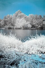 Infrared photography, a serene infrared photograph captures a tranquil body of water nestled beside...