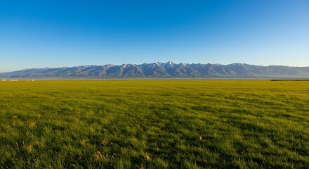 Fototapeta premium Vast Green Field with Distant Snow-capped Mountains Under Blue Sky