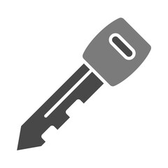 Car Key Icon