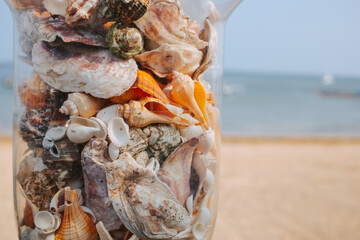 Shells of different sizes in glass on table with ocean background. Seashells in sunlight close-up