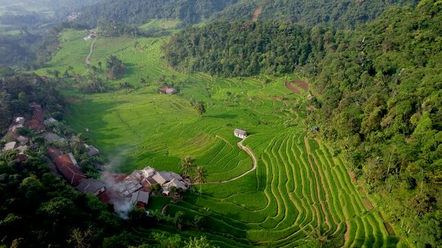 Aerial views beautiful of rice terraces field at Bogor, Indonesia. 