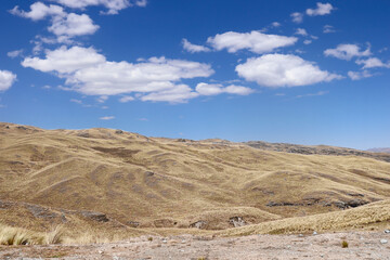 Expansive golden grasslands across hills in a high-altitude Andean landscape. Rolling high-altitude grasslands under a bright blue sky