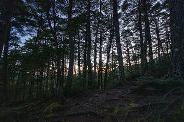 Kinpusan, Takami-iwa and surrounding views