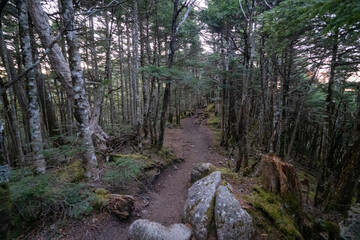Kinpusan, Takami-iwa and surrounding views