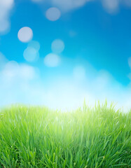 Fototapeta premium World environment day concept- green grass and blue sky abstract background with bokeh