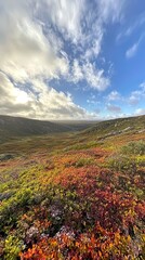 Vibrant autumn landscape showcasing colorful foliage under a dramatic sky with clouds