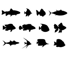 Set of Fish silhouette collection underwater exotic animals illustration
