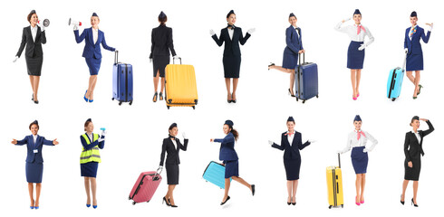 Obraz premium Set of many beautiful stewardesses on white background