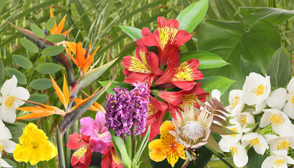 Many different tropical leaves and flowers as background