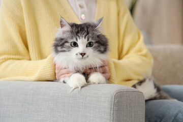Owner with cute cat after sterilization at home