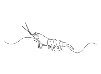 Shrimp illustration in continuous one line drawing. Prawn in one line draw. Editable vector.