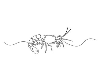 Shrimp illustration in continuous one line drawing. Prawn in one line draw. Editable vector.