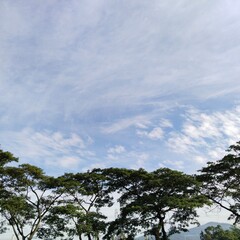 Obraz premium sky and clouds