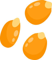 Close Up Three Soybeans Seed Illustration