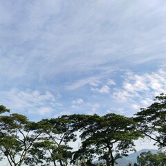 Obraz premium sky and clouds