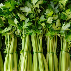 Obraz premium Green celery background. Top view,