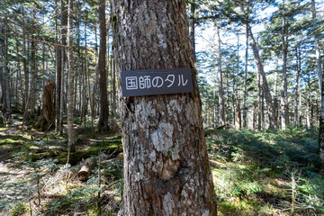 Kunishigatake, Koubushigatake and surrounding views