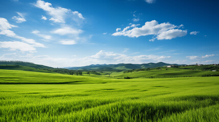 Obraz premium green field and blue sky. field and clouds