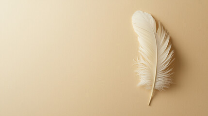 Obraz premium Single white feather on beige background -ai