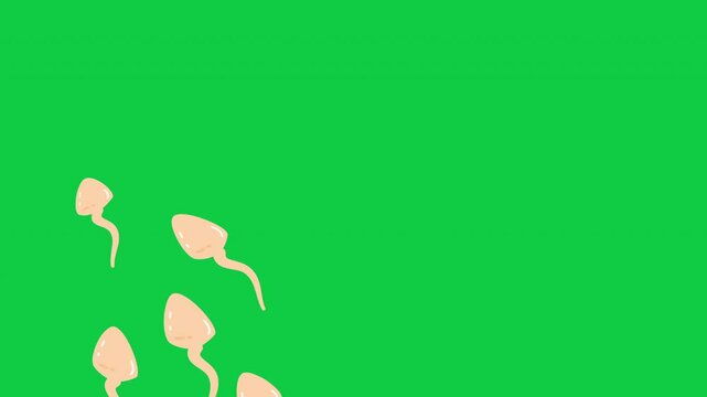 sperm reproduction illustration element animation