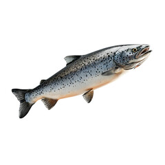 Naklejka premium Fresh Salmon Fillet Falling Mid-Air in a Brightly Transparent background Perfect for Culinary and Cooking Themes