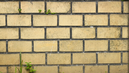 Close-up of a light beige brick wall with dark grout lines.