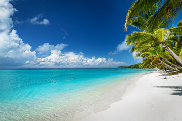 Sandy beach with coconut palm trees in the turquoise sea on Paradise island. Royalty high-quality free best stock of Panoramic beach landscape. Inspire tropical beach seascape horizon, Summer vacation